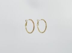 14K Gold Plated Scaly Hoop Küpe