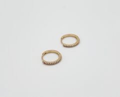 18K Gold Plated Taşlı Halka Küpe