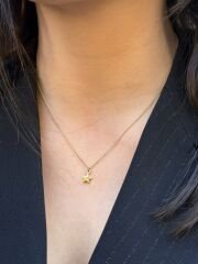 14K Gold Plated Little Star Kolye