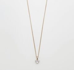 18K Rose Gold Plated Love Bombing Kolye