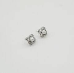White Gold Plated Fiore Pearl Stud Küpe