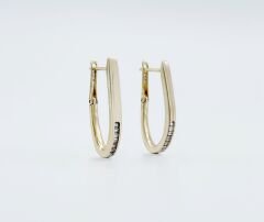 14K Gold Plated Agleam Hoop Küpe