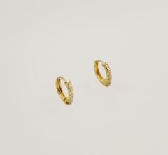 14K Gold Plated Screw Hoop Küpe