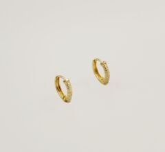 14K Gold Plated Screw Hoop Küpe