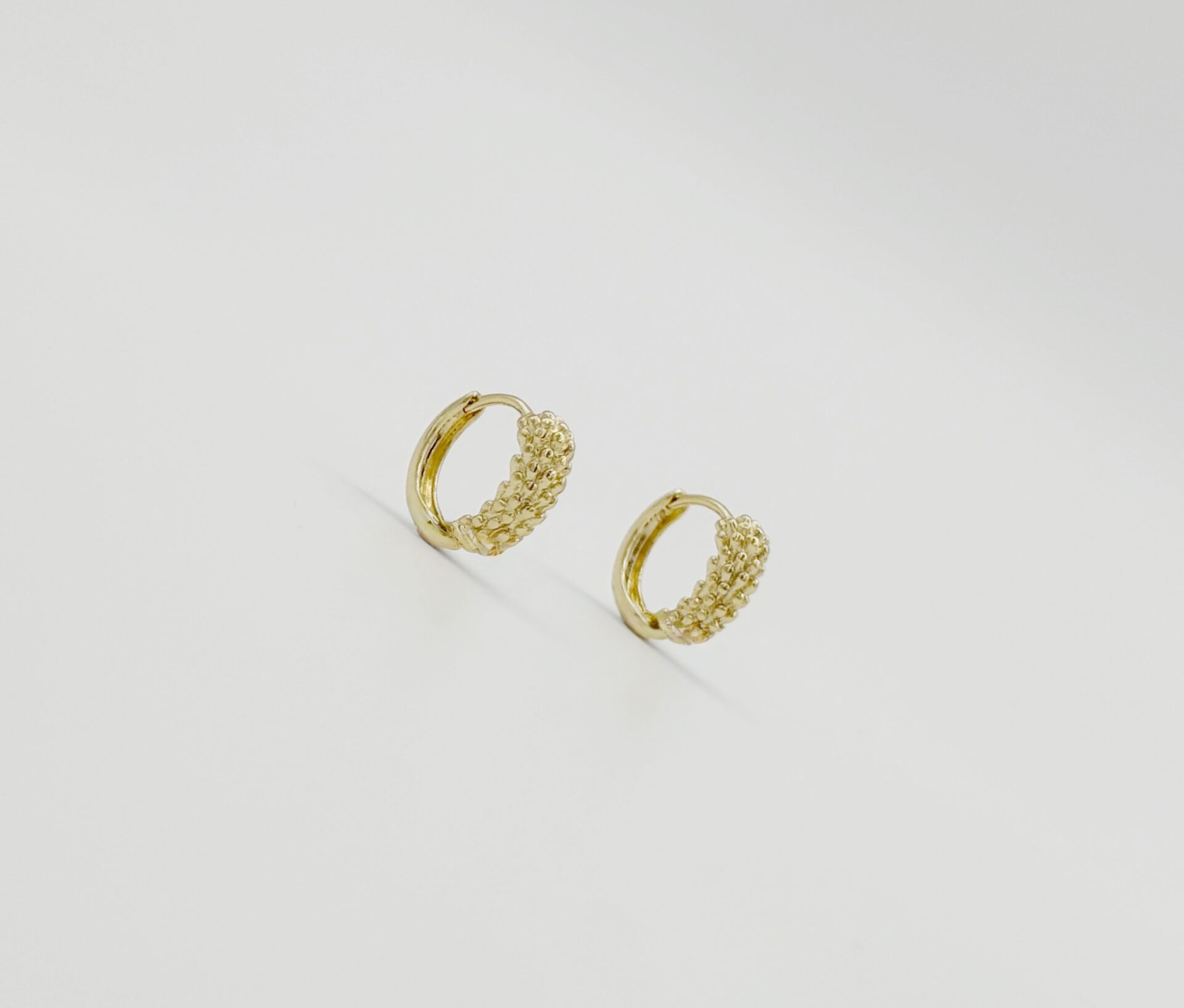 14K Gold Plated Porky Hoop Küpe