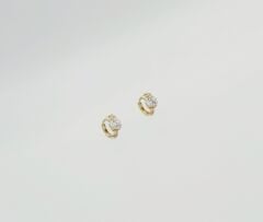 14K Gold Plated Bloom Hoop Küpe