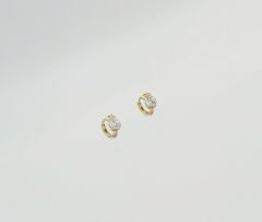 14K Gold Plated Bloom Hoop Küpe