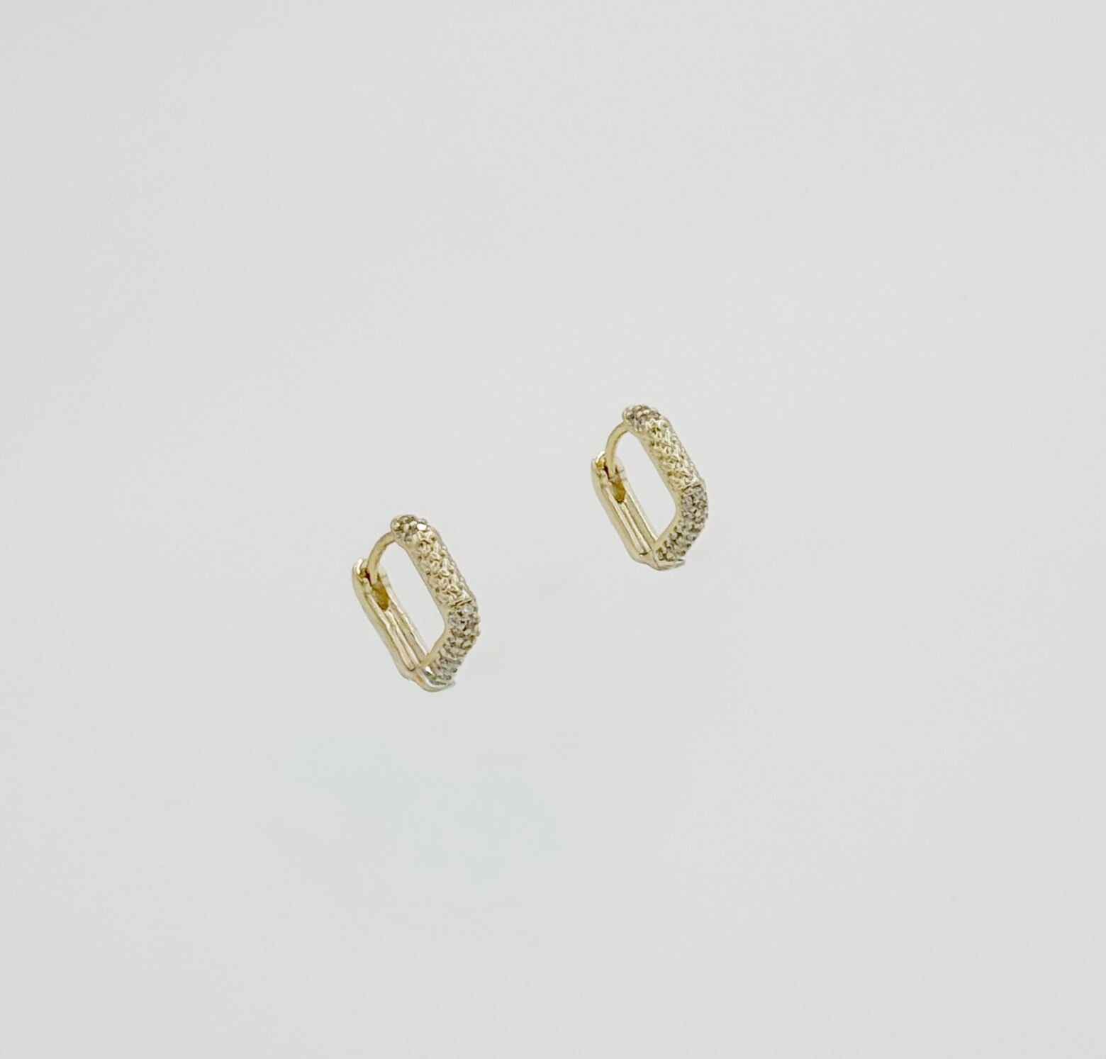 14K Gold Plated Liny Hoop Küpe