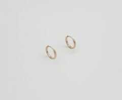 18K Rose Gold Plated Mini Simple Hoop Küpe