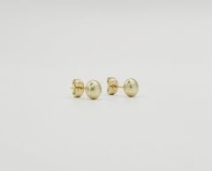 14K Gold Plated Nokta Stud Küpe